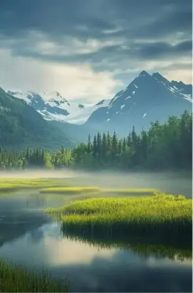 Landscapes